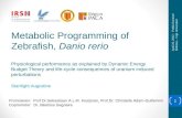 Metabolic Programming  of Zebrafish,  Danio rerio