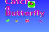 Catch  a Butterfly