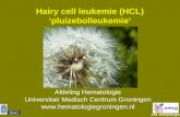 Hairy cell leukemie (HCL) ‘pluizebolleukemie’