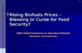 Rising Biofuels Prices – Blessing or Curse for Food Security?