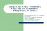 Benign Endometrial Hyperplasia Sequence and Endometrial Intraepithelial Neoplasia