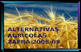 ALTERNATIVAS AGRICOLAS  ZAFRA 2008-09