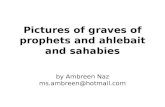 Pictures of graves of prophets and ahlebait and sahabies