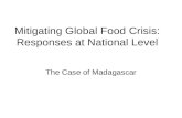 Mitigating Global Food Crisis: Responses at National Level