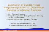 Estimation of Spatial Actual Evapotranspiration to Close Water Balance in Irrigation Systems