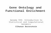 Gene  Ontology  and  Functional Enrichment