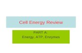 Cell Energy Review