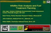 Wildfire Risk Analysis and Fuel Treatment Planning