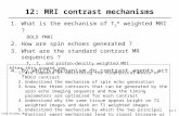 12: MRI contrast mechanisms