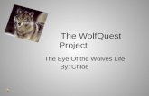 The WolfQuest Project