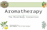 Aromatherapy :