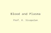 Blood and Plasma