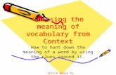 Guessing the meaning of vocabulary from  Context