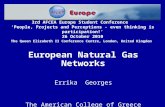 European Natural Gas Networks Errika  Georges The American College of Greece
