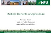 Multiple Benefits of Agriculture