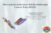 Meccanismi molecolari del  Breakthrough Cancer Pain  ( BTcP )