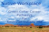 Native Workplace  501(c)(3)        we make a path by walking