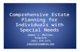 Comprehensiv e Estate Planning fo r Individual s with Specia l Needs