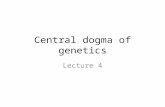 Central dogma of genetics
