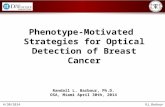 Phenotype-Motivated  Strategies for Optical Detection of Breast Cancer