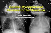 Genital Mycoplasmal Disease in the Newborn