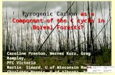 Pyrogenic Carbon  as a Component of the C cycle in Boreal Forests?