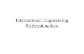 International Engineering Professionalism