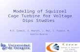 Modeling of Squirrel Cage Turbine for Voltage Dips Studies