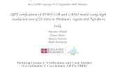 Working Group 5: Verification and Case Studies (Co-ordinator C.Cacciamani ARPA-SMR)