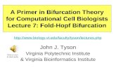 A Primer in Bifurcation Theory for Computational Cell Biologists Lecture 7: Fold-Hopf Bifurcation