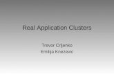 Real Application Clusters