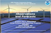 Operational Wind Observations and Forecasts