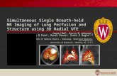 Simultaneous Single Breath-hold MR Imaging of Lung Perfusion and Structure using 3D Radial UTE