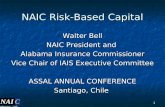 NAIC Risk-Based Capital