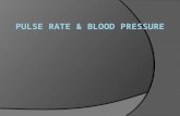 Pulse Rate & Blood Pressure