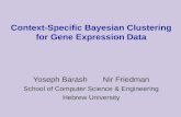 Context-Specific Bayesian Clustering for Gene Expression Data