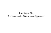 Lecture 9: Autonomic Nervous System