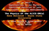 The Physics Of the ALICE-EMCal Rene Bellwied - Wayne State University