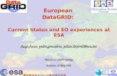 European  DataGRID: Current Status and EO experiences at ESA
