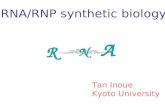 RNA/RNP synthetic biology