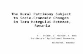 The Rural Patrimony Subject  to Socio-Economic Changes  in Tara Hategului-Retezat, Romania