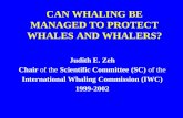 CAN WHALING BE MANAGED TO PROTECT WHALES AND WHALERS?