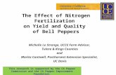 The Effect of Nitrogen Fertilization  on Yield and Quality  of Bell Peppers