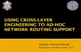 USING CROSS-LAYER  ENGINEERING TO AD-HOC NETWORK  ROUTING SUPPORT