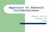 Approach to Adrenal Incidentalomas
