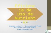 Marzo  2013 Armando Tasistro – International Plant Nutrition Institute (IPNI) atasistro@ipni