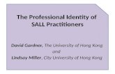 The Professional Identity of  SALL Practitioners