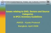 Issues relating to GHG, Sectors and Source Categories in IPCC Inventory Guidelines