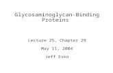 Glycosaminoglycan-Binding Proteins  Lecture 25, Chapter 29 May 11, 2004 Jeff Esko