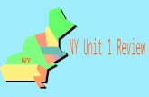 NY Unit 1 Review